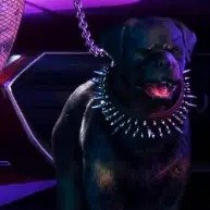 Chomp