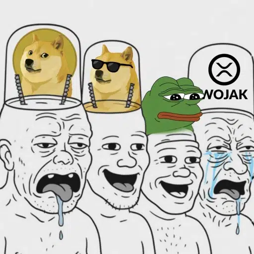 MEMECOINERS