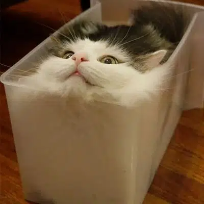 LCAT