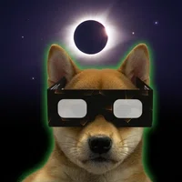 Glasses — DogWifGlasses Solana token traded by KOLs