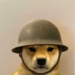 PTSD