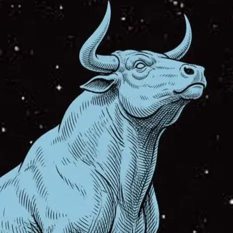 BULL — The Delusional Bull Solana token traded by KOLs