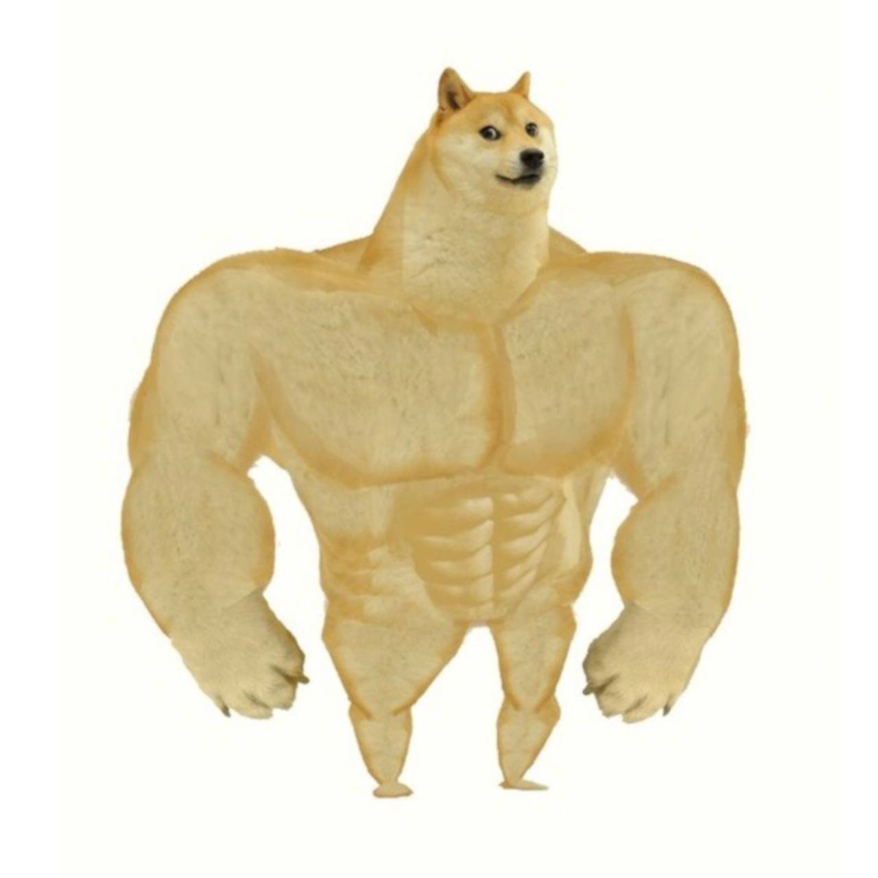 SWOLEDOGE