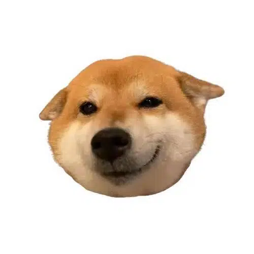 $KOINU token logo