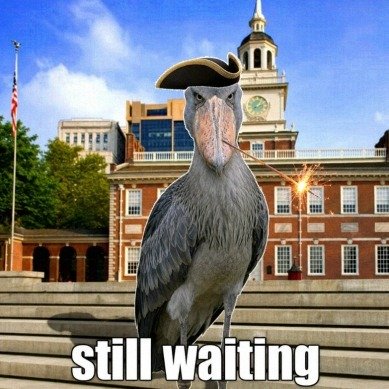 Still Bill