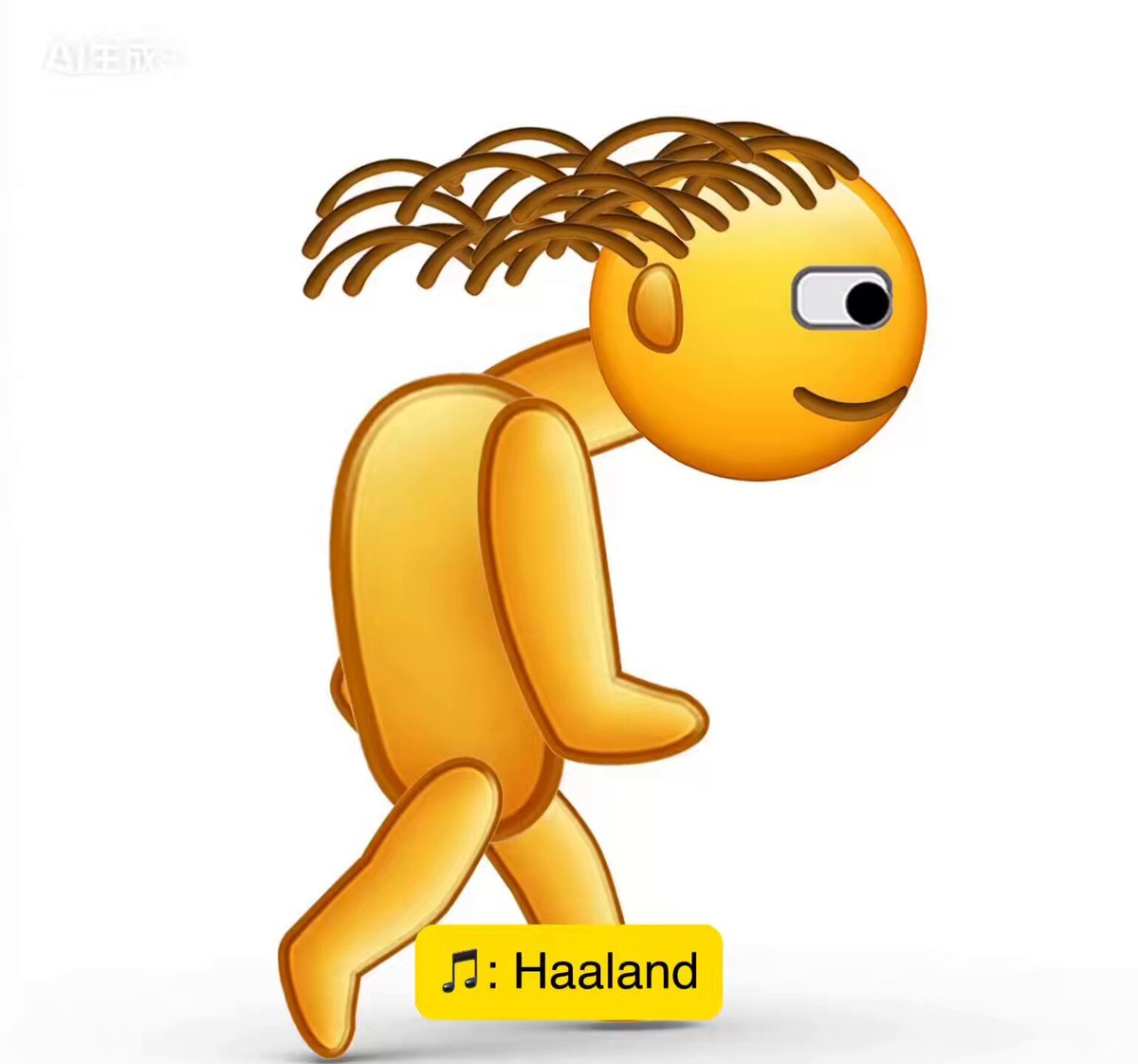 HAALAND