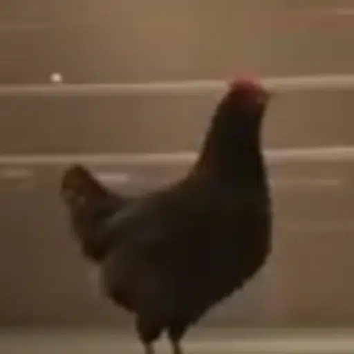 KSI