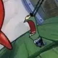 Plankton