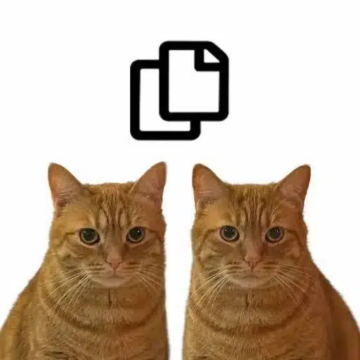 copycat