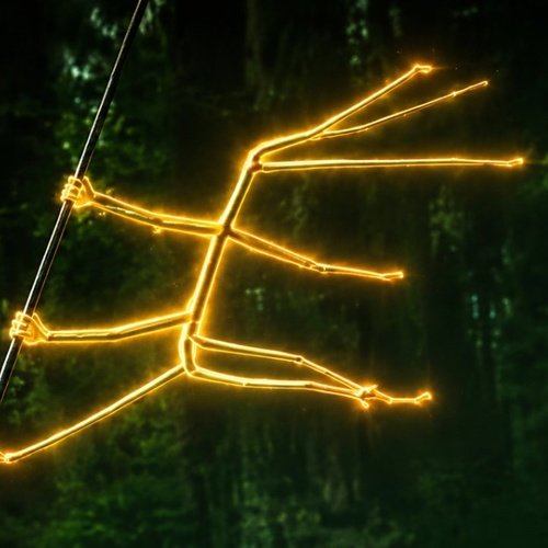 Stickbug