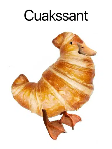 QUACKSSANT logo