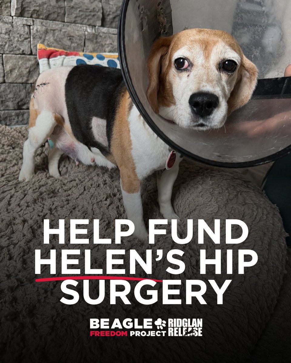 HELEN