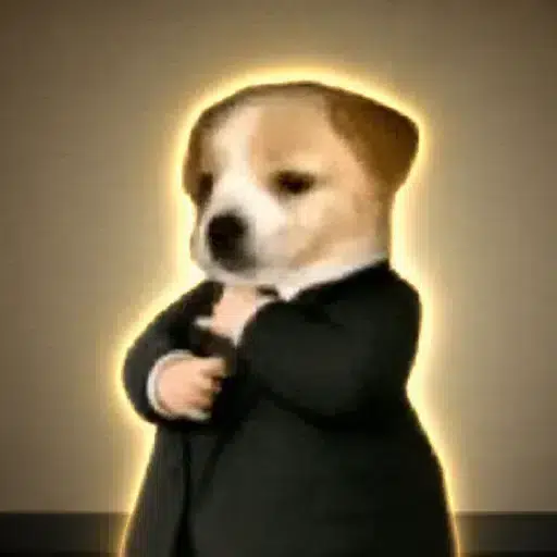 STARTPUP