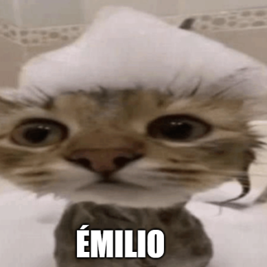 EMILIO logo