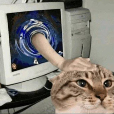 petcat