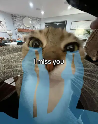 sobcat