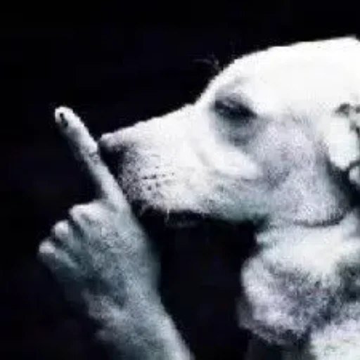 SSSSHHHH