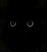 Mon-Chan