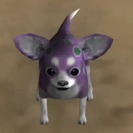 Chihuahua
