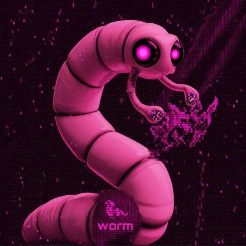 WORM