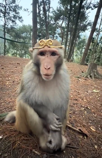 Wukong