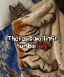 LARPCAT
