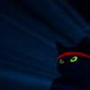 ninjacat