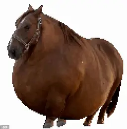 🐴🧁