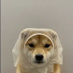 DIN