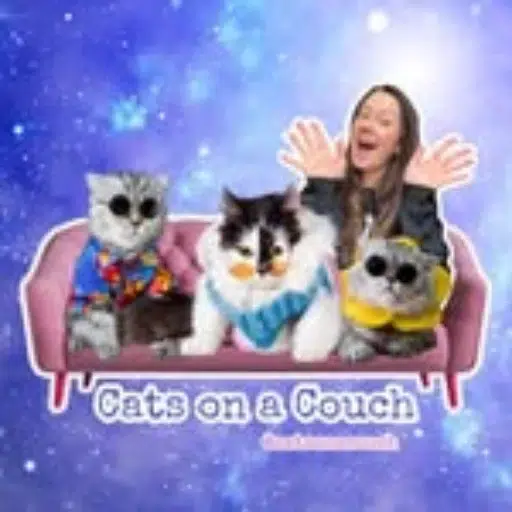 CATSONACOUCH logo