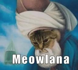 Meowlana