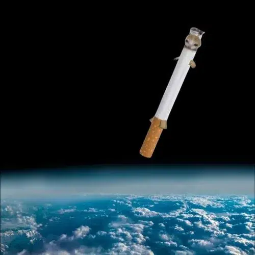 fag
