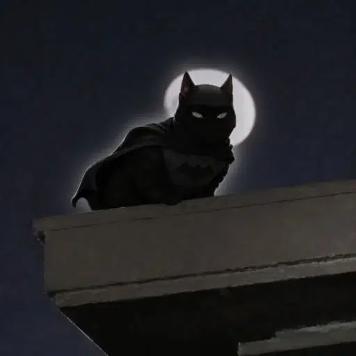 catman