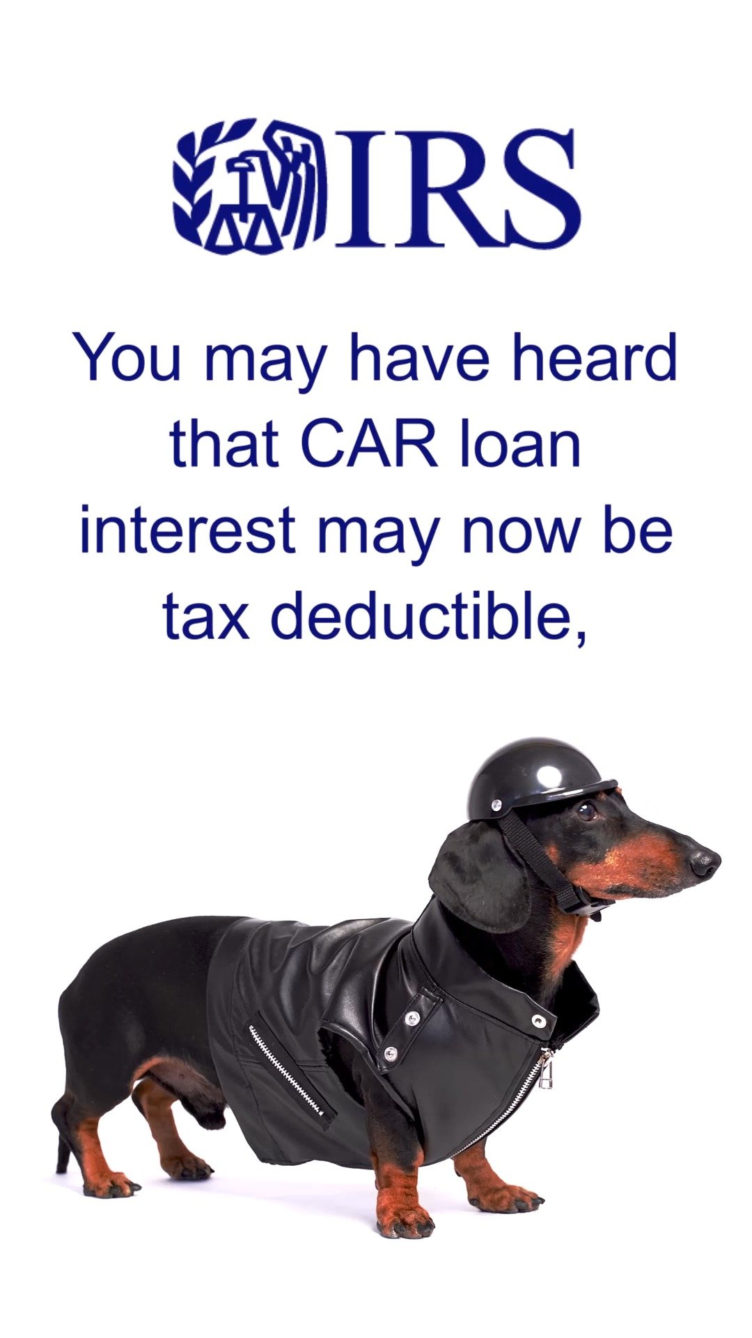 TAXDOG