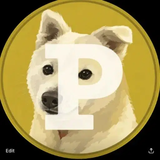 POCHIKO logo