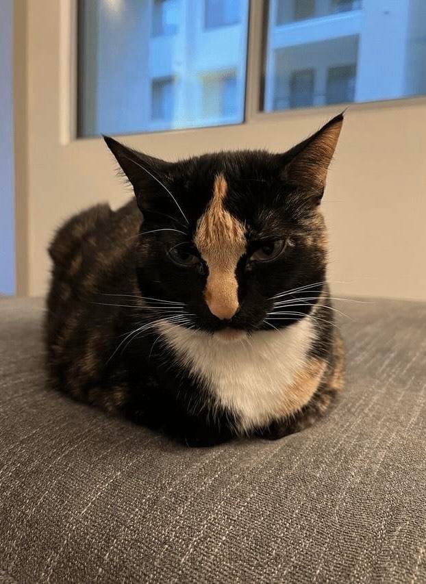 🖕