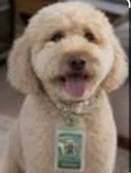 Milo