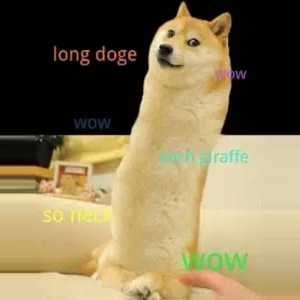 DOOOOOGE