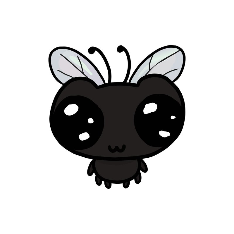 FLY