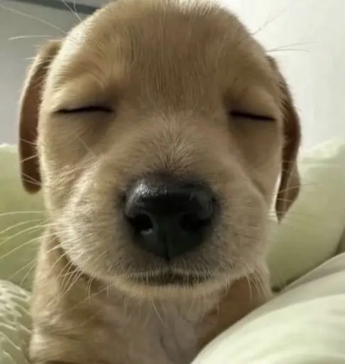 빌리