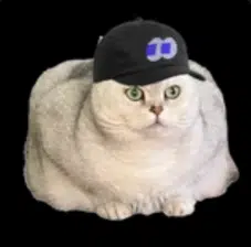 FOMOCAT