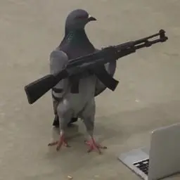 $pigeon token logo