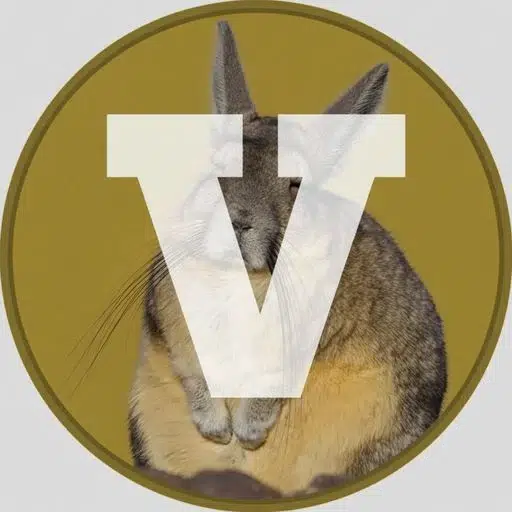 $Vizcacha token logo
