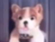Cosmo