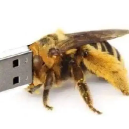USB logo
