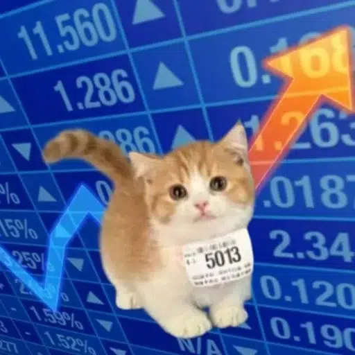 stockcat