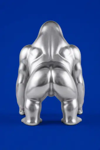 silverback