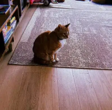 HOBBES