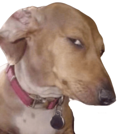 SUSDOG