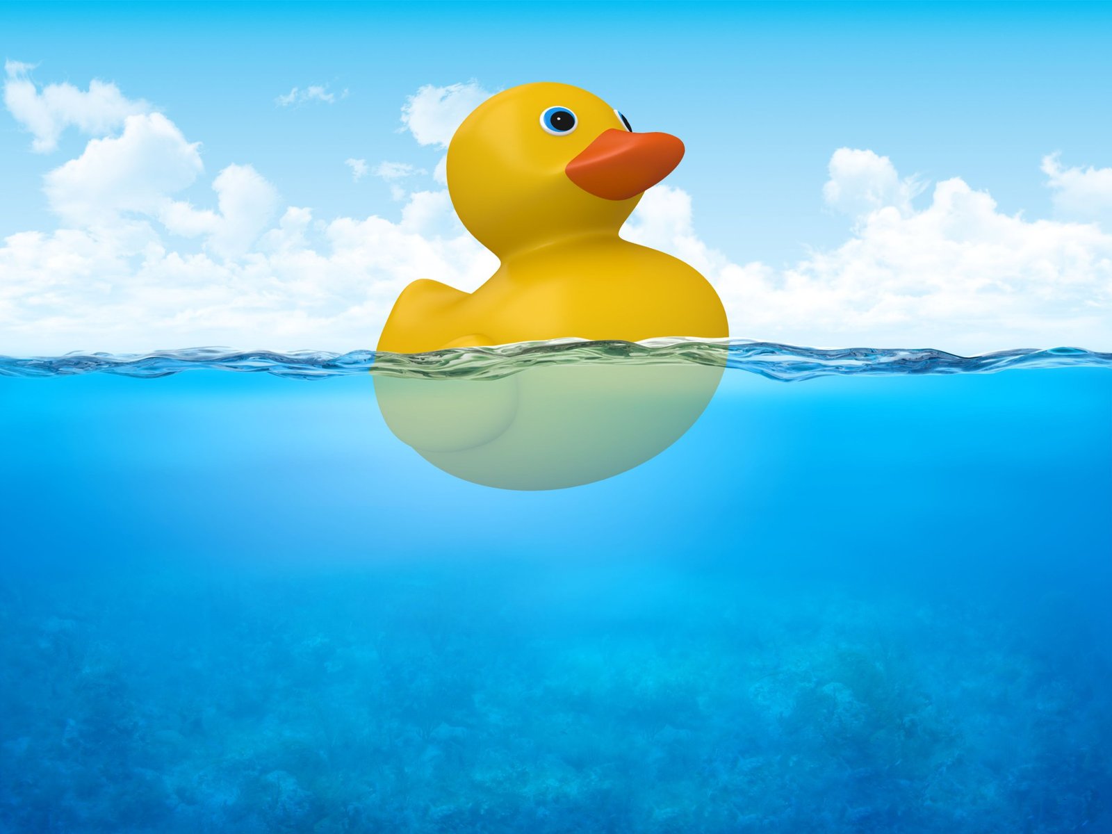 FLOAT